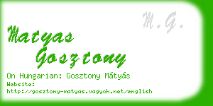 matyas gosztony business card